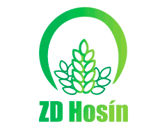 ZD Hosín