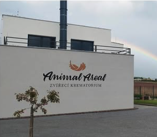 Nákup užitkového vozu N1