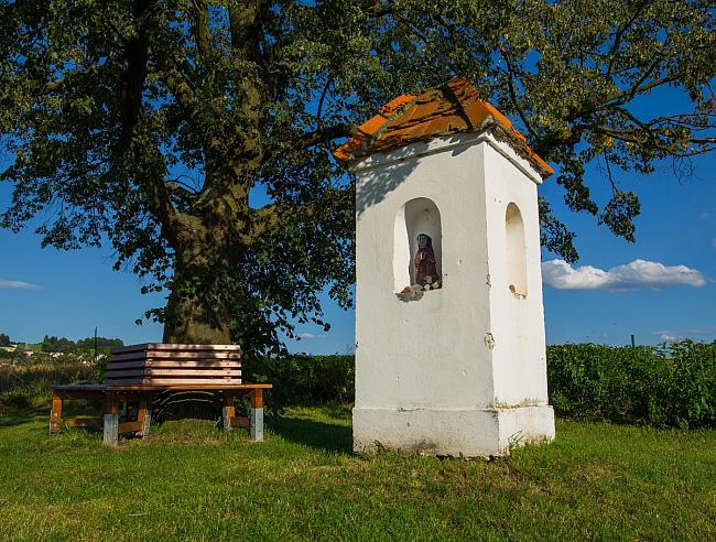 Místní akční skupiny získají další prostředky na podporu venkova - ikona