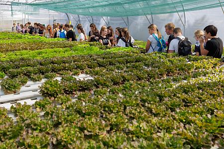 RegionChef workshop a exkurze