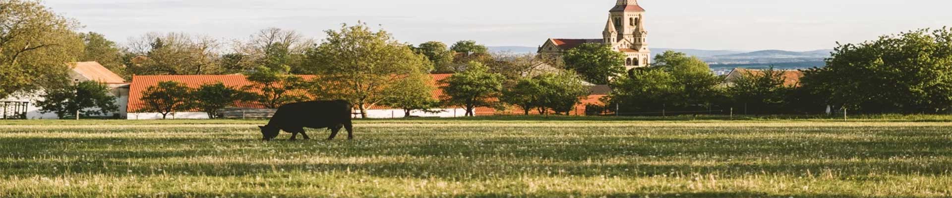 Podpora rozvoje venkova