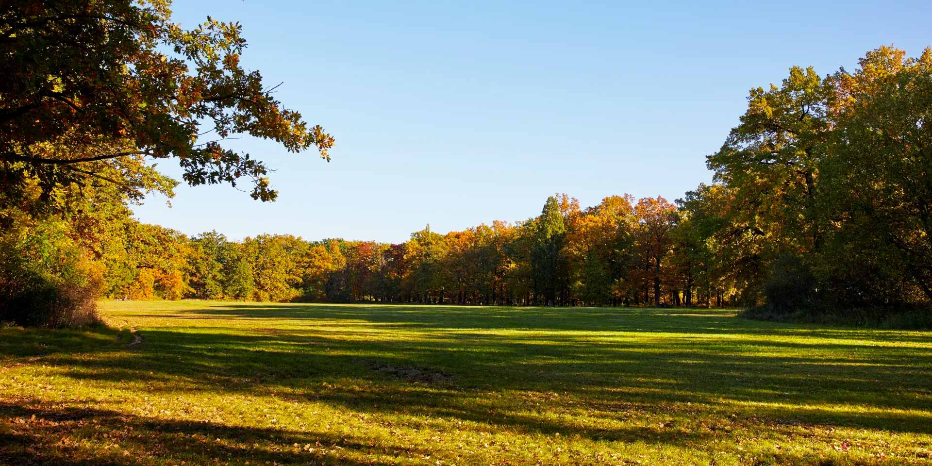 image foto 2