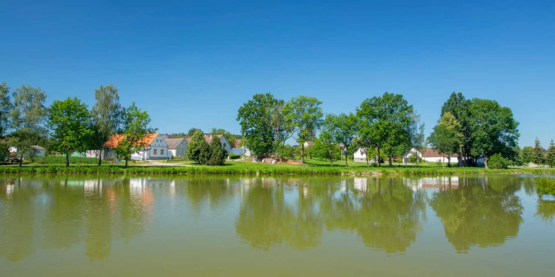 image foto 9